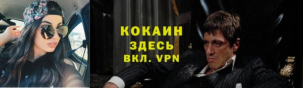 дмт Верея