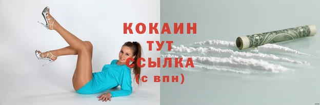 МДПВ Волоколамск