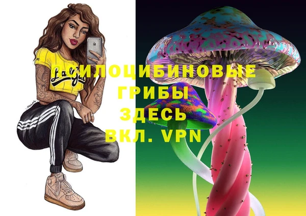 бутират Саяногорск