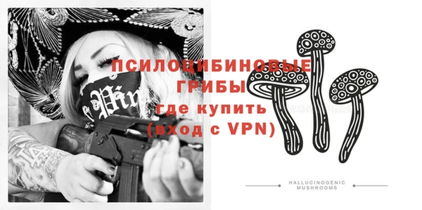 СК Протвино
